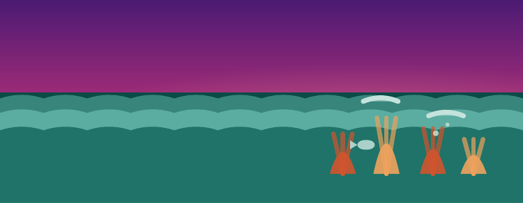 Coral Reefs pack art